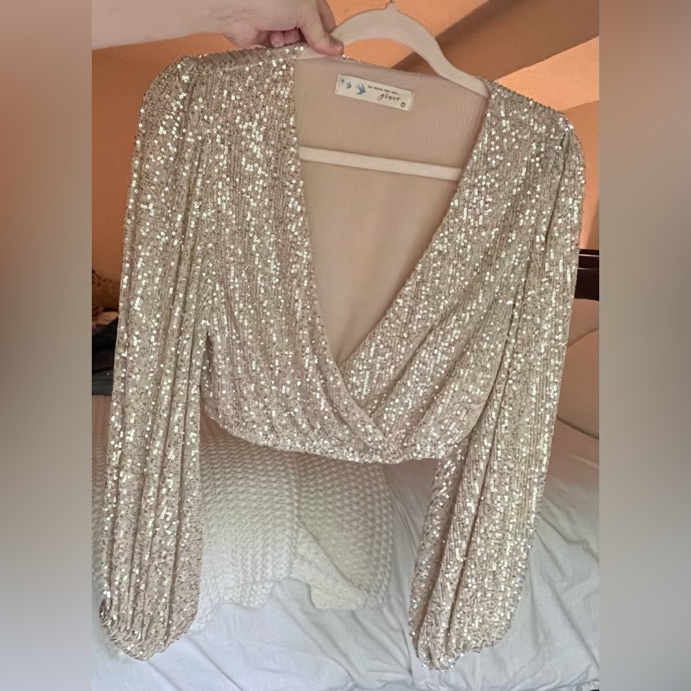Long Sleeves Silver Sequin Crop Top - Lizard Thicket - Size Small